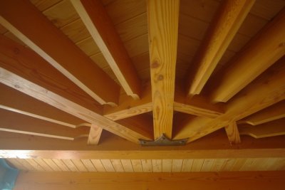 house_loonlakeceiling